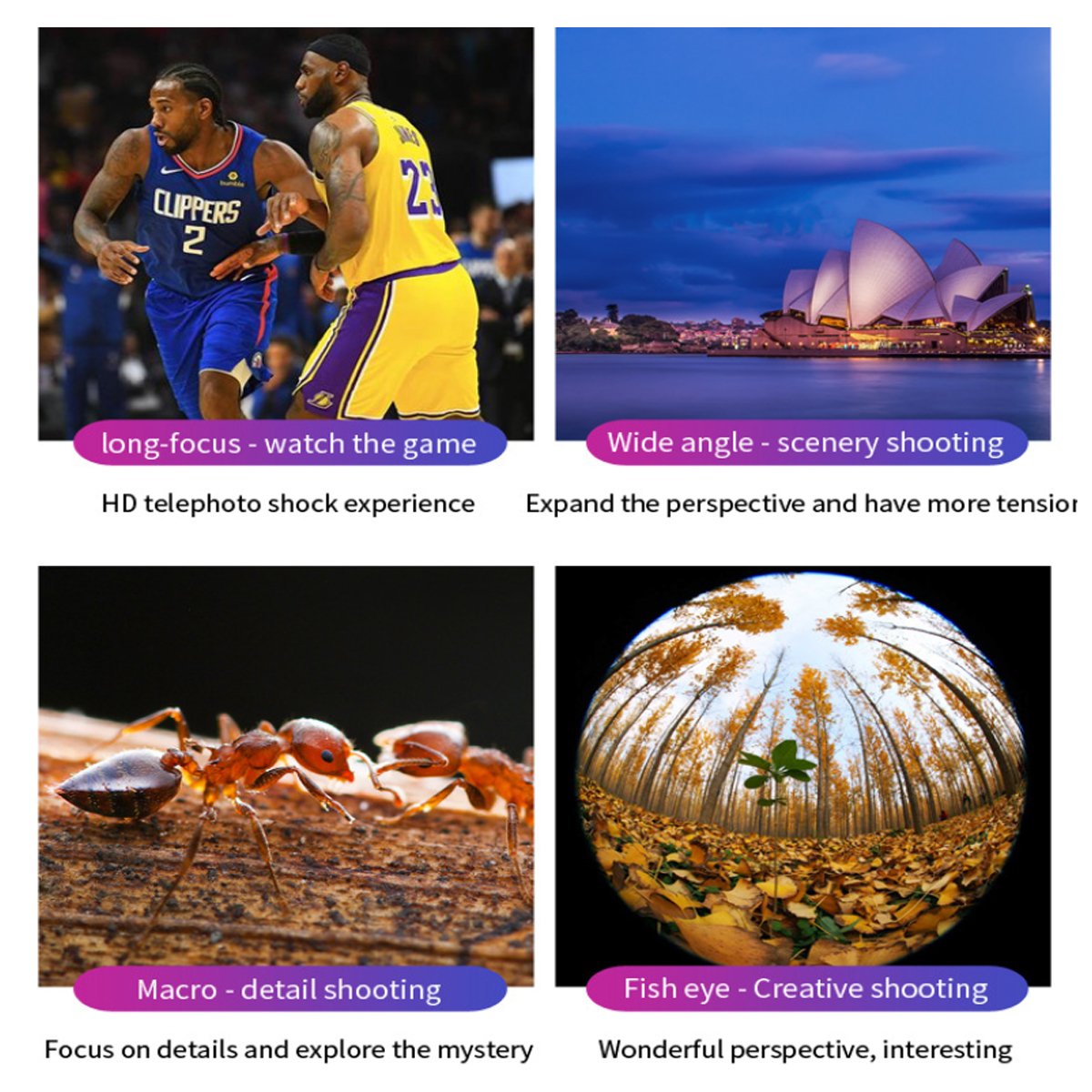 12 in 1 4K Photography Bundle